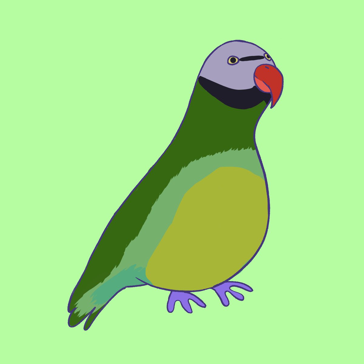 New Birdy is live now!
Birdy #10 
This week we have a cute Moustached Parakeet bird!! 🦜🤟
opensea.io/assets/matic/0…
If you like it give us a follow so you dont miss on the new ones every week.
#NFTs #polygonNFT #birds #parakeet