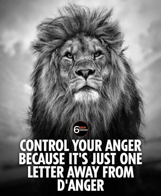 IyerNtrajan's tweet photo. #FridayMotivation 🦁🦁
#Fridaymotivations #FridayMorning #fridaynightfunkin #FridayFeeling #fridayfitness #FridaysForFuture #WorldDisabilityDay #Omicronindia #OmicronVarient #Omicronindia https://t.co/ufRid1yO85