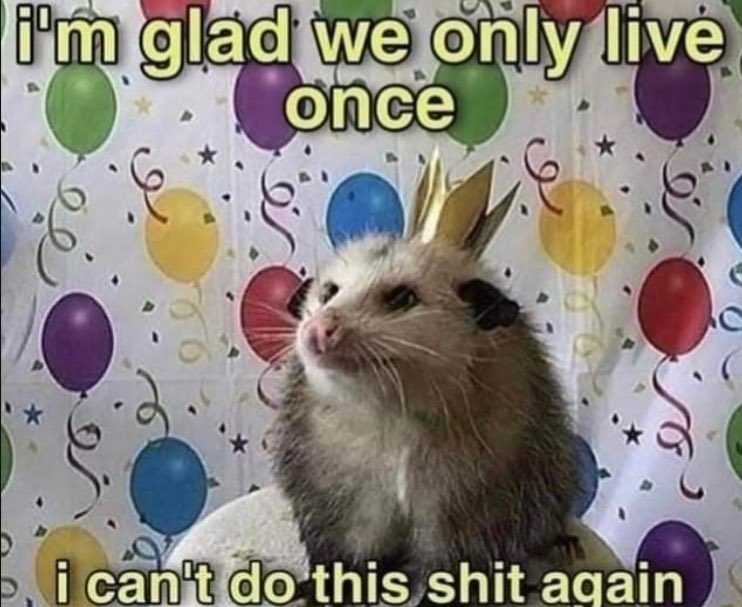 srinker99's tweet image. 