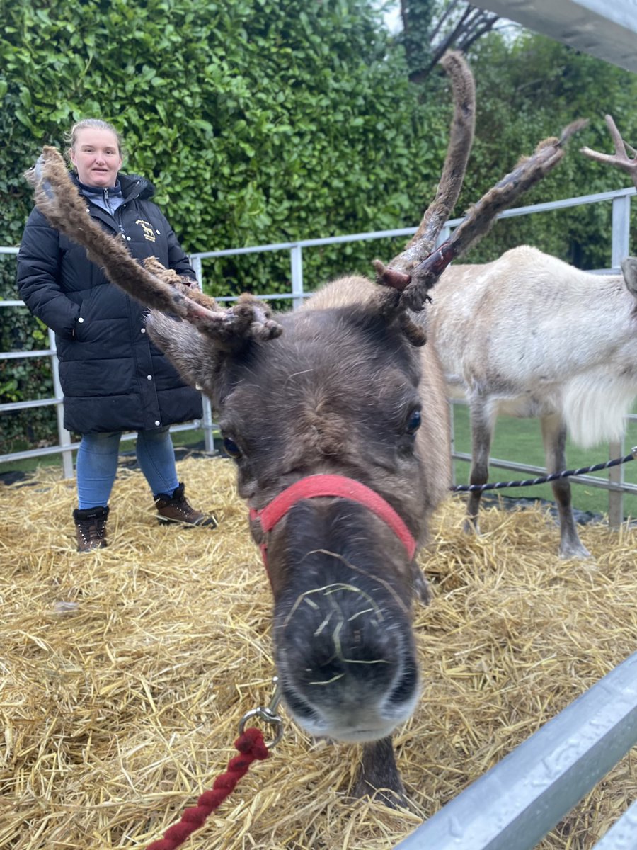The most exciting day ever! @StAnnesCofE @FOStAnnes