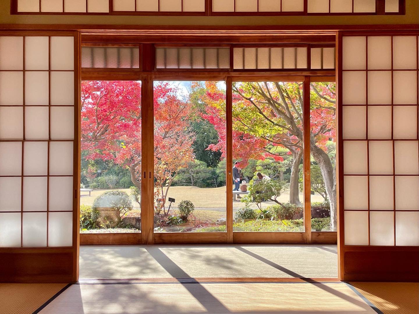 須磨離宮公園 障子と硝子と 和室は紅葉に囲まれた落ち着いた空間になっています 今週末の土日もライトアップを行います 幻想的な和庭園をお楽しみください 須磨離宮公園 神戸 紅葉 もみじ 紅葉ライトアップ T Co Dwwa09qzzz Twitter