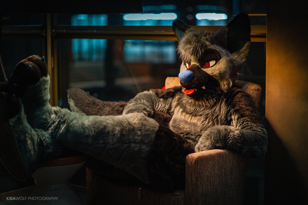 RookaRoo tweet media