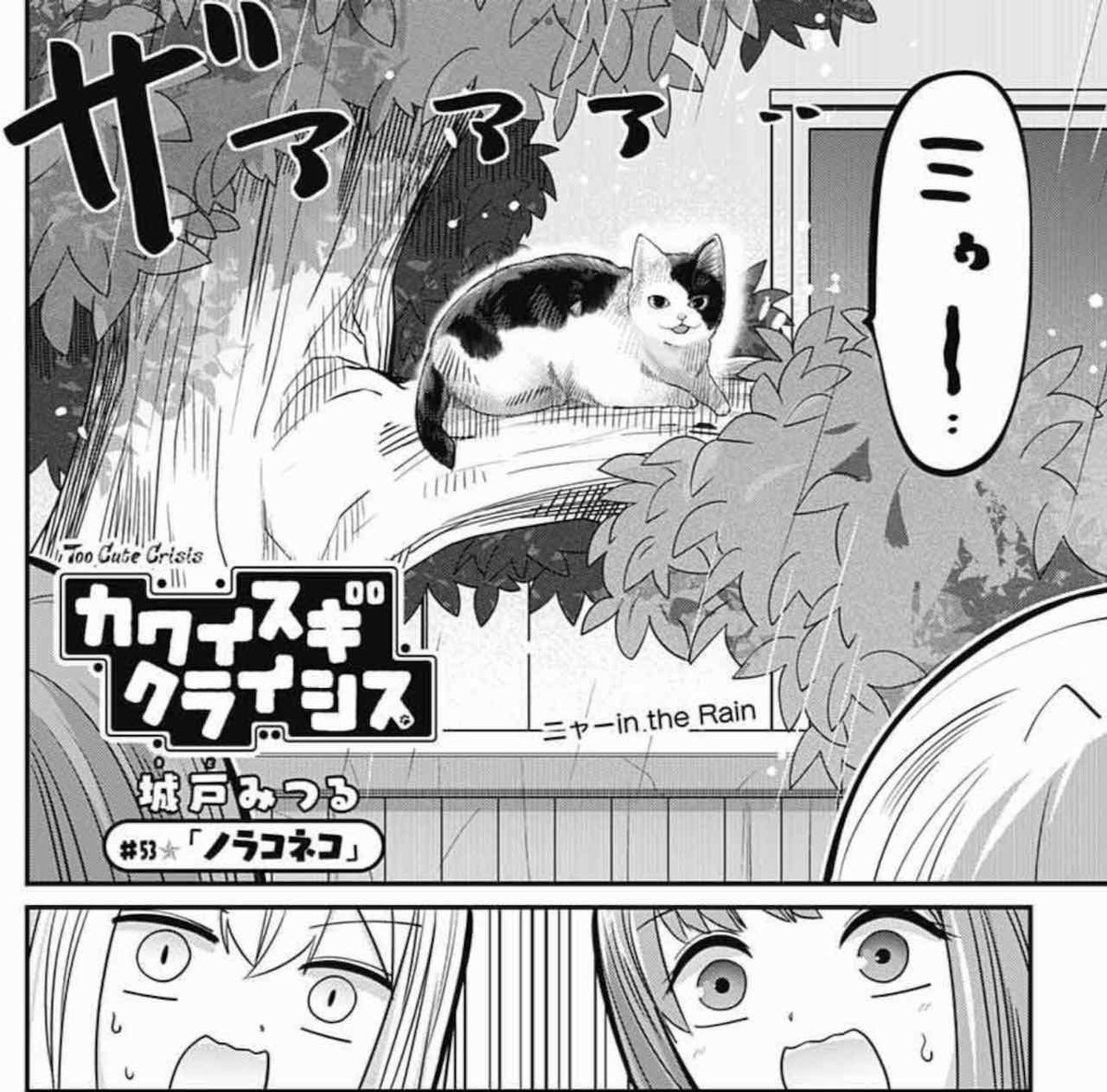 発売中のジャンプSQ.1月号に『カワイスギクライシス』載せてもらってます。
リザが野良猫を拾う話です。
多頭飼いに悪戦苦闘したり、飼い主を探したり、猫カフェ「nyanday」の店長が登場したり。
楽しんでもらえたら嬉しいです。
よろしくお願いします!
