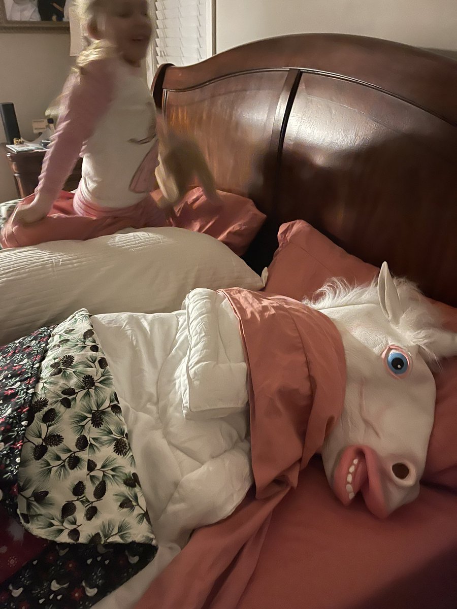 DakDoc's tweet photo. My wife is gone for the week and my kids felt sorry for me sleeping alone so they left me a little friend! https://t.co/RfCTFqjYm1