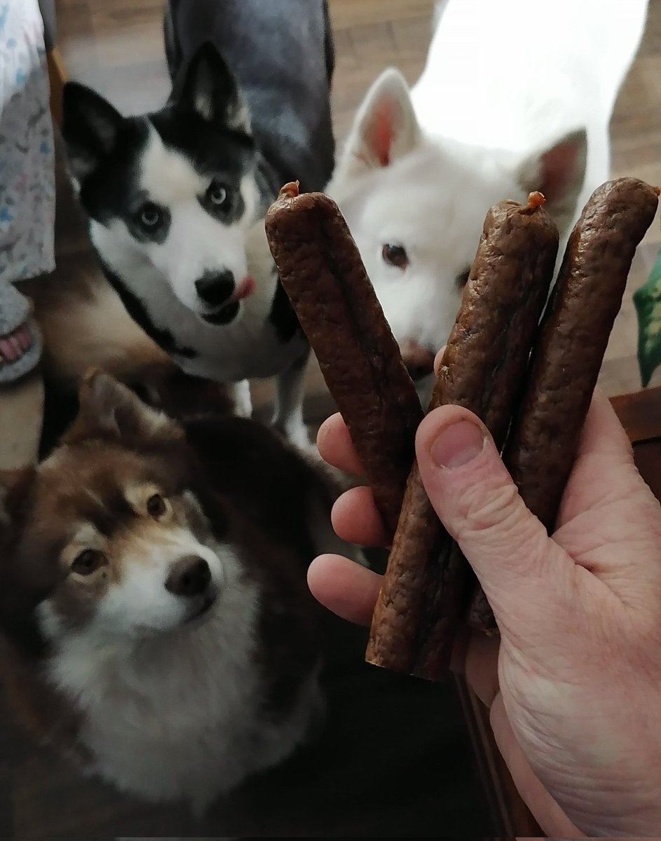 HuskyStories's tweet photo. Treats are good but our new adventure book is better (available on Amazon)
https://t.co/TIZxLxKKiu UK
https://t.co/FOiRuwTCQf US
#siberian #huskies #husky #DogsofTwittter #threehuskies #diamond #istas #indi
@amandalwelch
@AuthorJaneM
@WeAreProvoco https://t.co/vrIkPERwcd