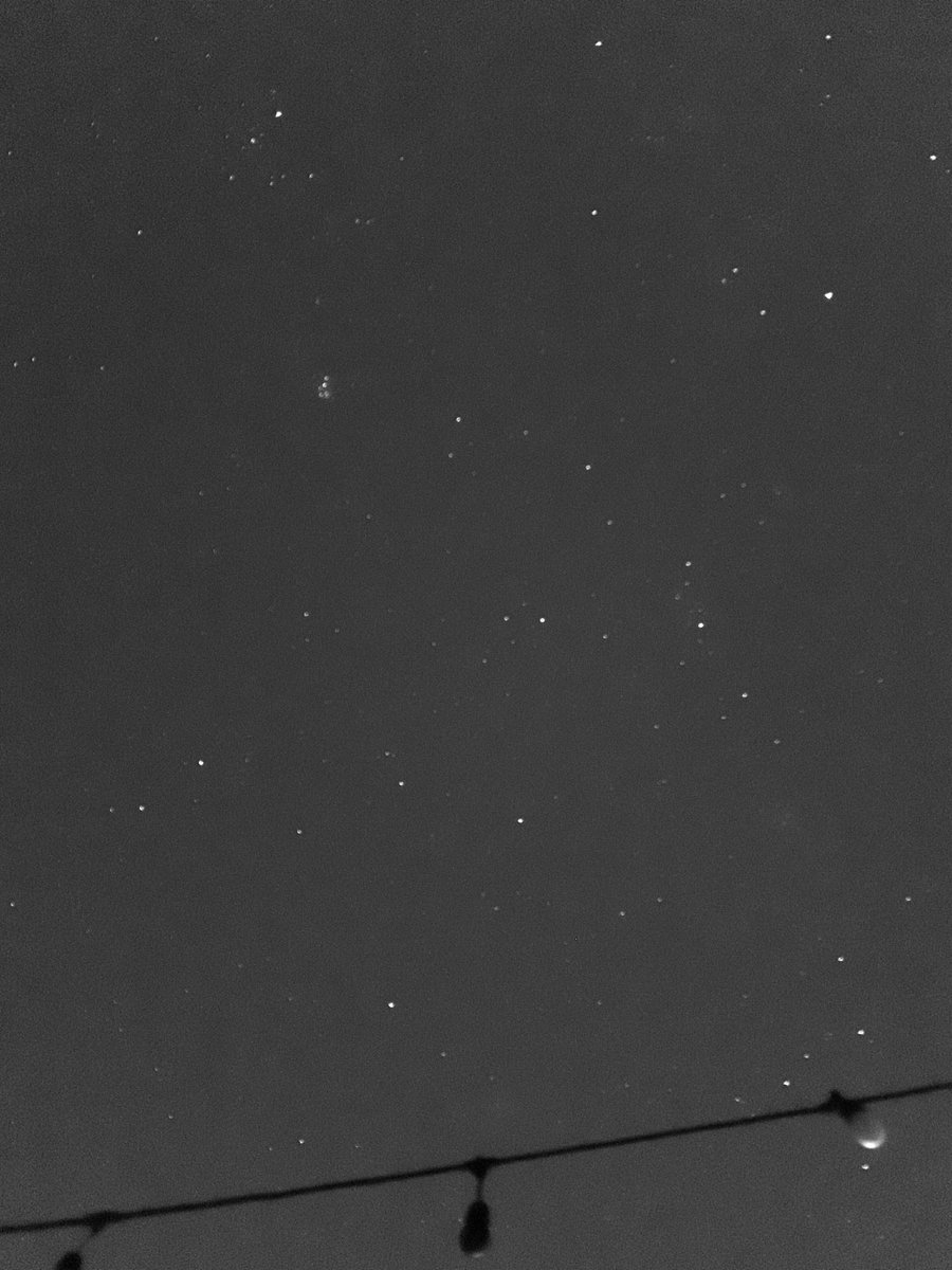 Shawn Reed tweet media