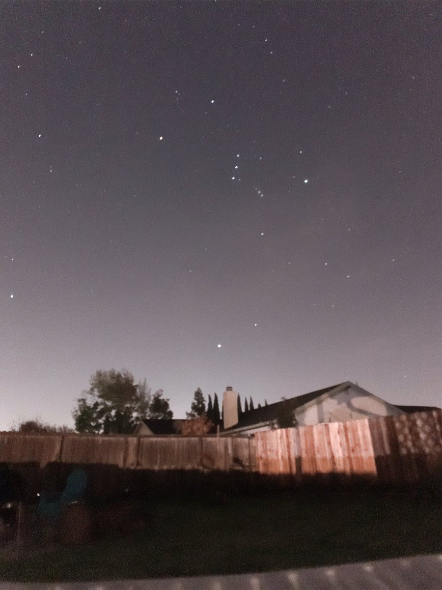 Shawn Reed tweet media