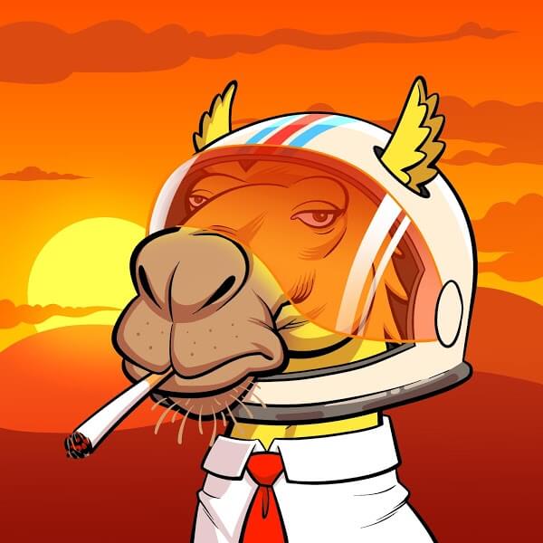 当觉得疲惫的时候
就看看自己的笑容吧
因为我居然被自己治愈了~