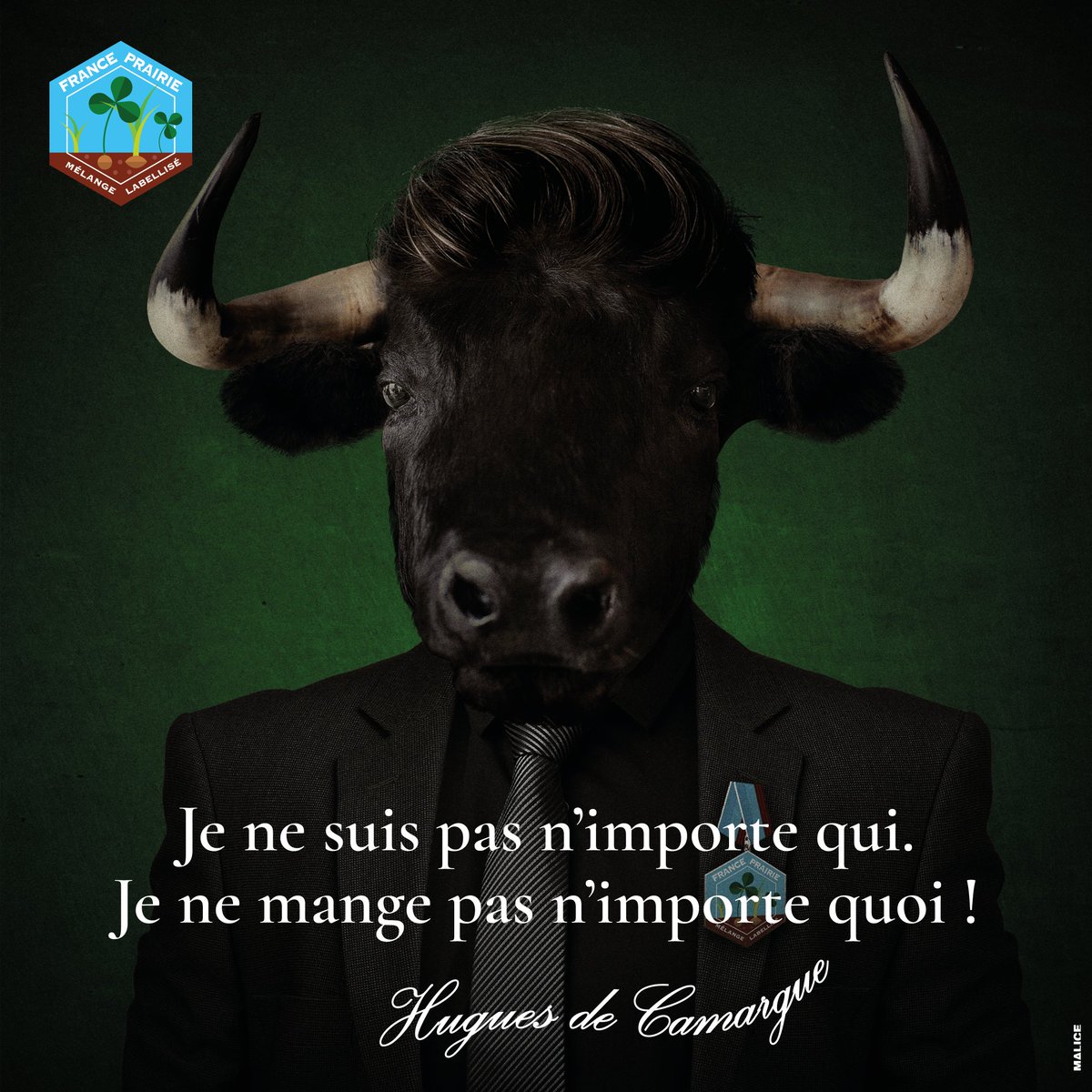 semae_officiel's tweet photo. Vous vous souvenez de Faustine &amp; Stanislas?

Voici Hugues de #Camargue

qui raffole du Label 🇫🇷 #semences:
📌#FrancePrairie
https://t.co/McE73OqOsa

On est forcément d'accord avec lui, n'est-ce pas les #MoiJeSèmeMaPrairie 😉
poke @AFPF_FrPrairie https://t.co/mTf12YKpg0