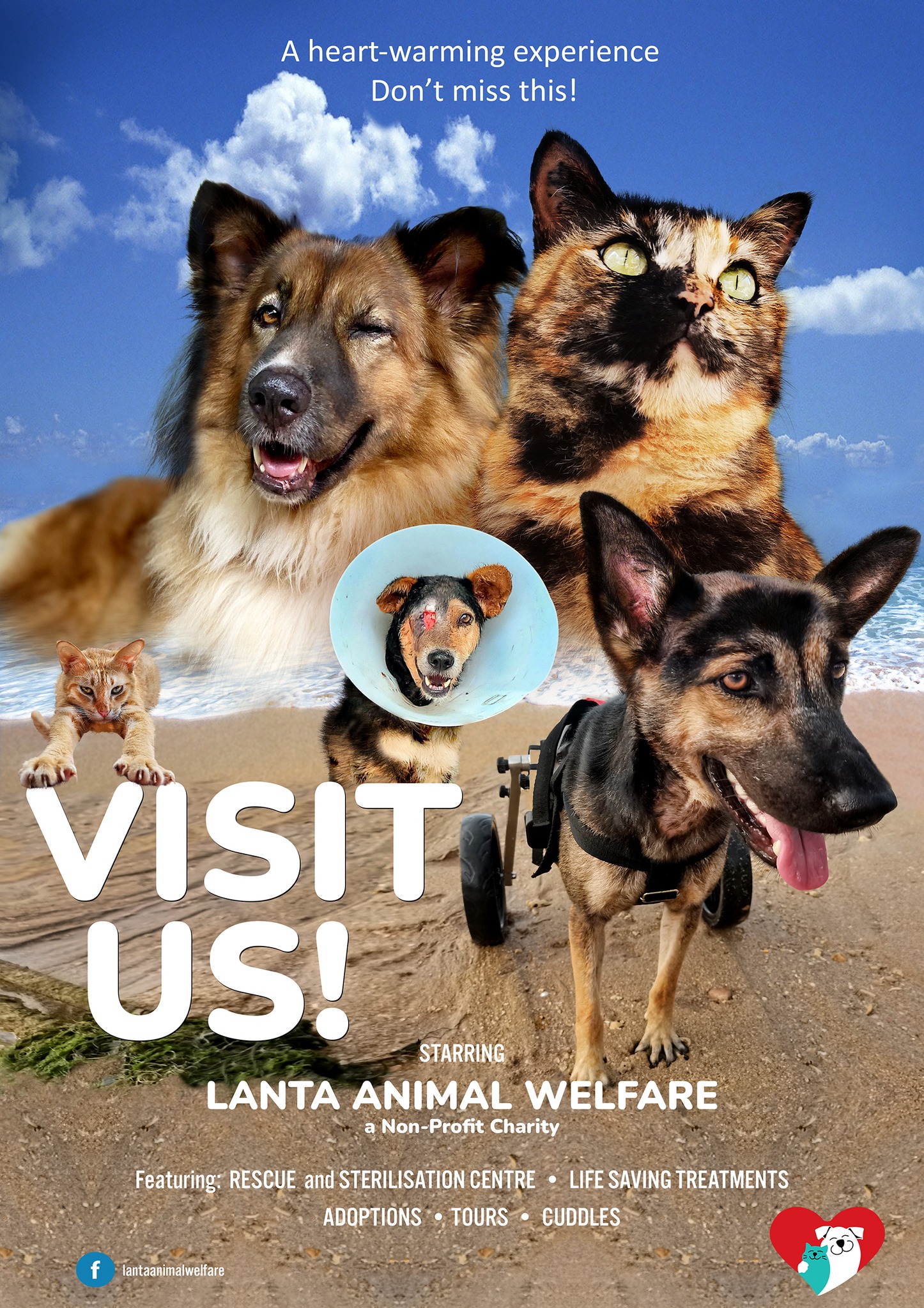 Lanta Animal Welfare (@lantaanimal) / Twitter