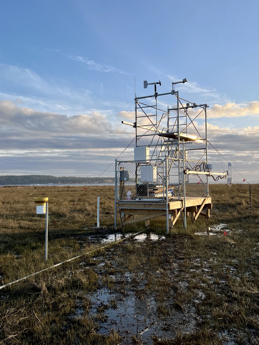 Install the water probe today under precious beautiful weather! 
Finally, we have all the sensors at our salt marsh site now. So exciting!