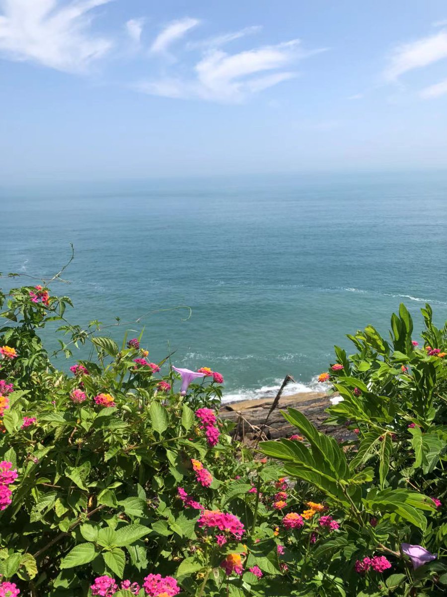 ruby110311's tweet photo. 生活就像海洋，只有意志将强的人才能到达彼岸。 https://t.co/k9350bq2fD