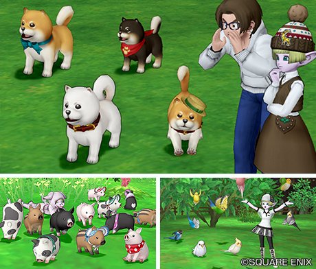 تويتر ドラゴンクエストx 公式 على تويتر Dqxショップ予告 Dqxショップ開店8周年を記念して 柴犬 子ブタ インコのついてクンを永続的にプライスダウンします 気になっていたあの子を連れ 歩くチャンス 販売価格は 12月6日 月 11 00ごろ変更予定です