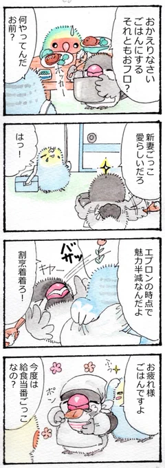 割烹着とエプロン
#かいどりさん #四コマ 