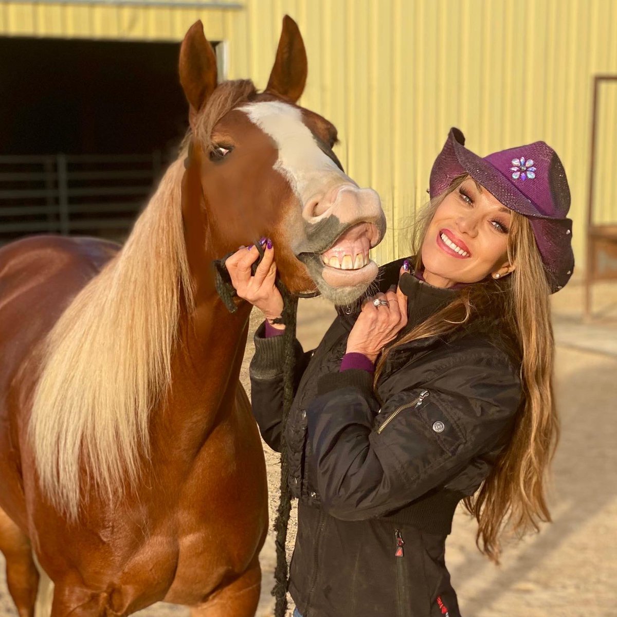 My new handsome, quirky, corny reigning cow horse!  Meet Cassidy!