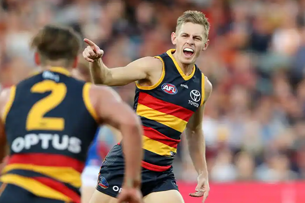 Box Hill Hawks tweet media