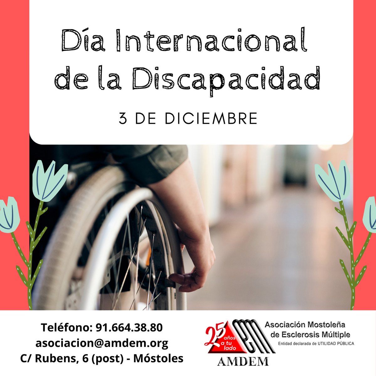 AMDEMostoles's tweet photo. Hoy 3 de diciembre es el Día Internacional de la Discapacidad 🦽 y conmemoramos el espíritu de superación constante de las personas que enfrentan cada día todo tipo de barreras 👩🏻🦯 por todos esos héroes y heroínas 🦸♂️🦸♀️
#EsclerosisMúltiple #EM #EMwarrior #MasFuerteQueLaEM https://t.co/RoJsukkDvA