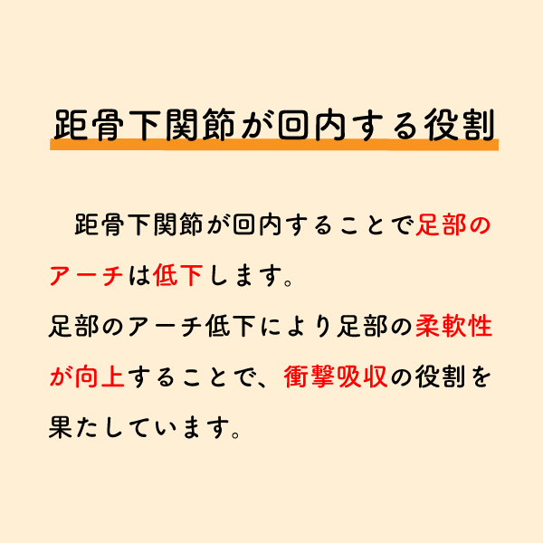 riha_note's tweet photo. 歩行における足関節の動きを理解していますか？

荷重応答期で距骨下関節が回内する理由には、解剖学的知識を正しく知っておく必要があります。
昨日のツイートと合わせてご確認ください。 https://t.co/cVzUHhlzYq