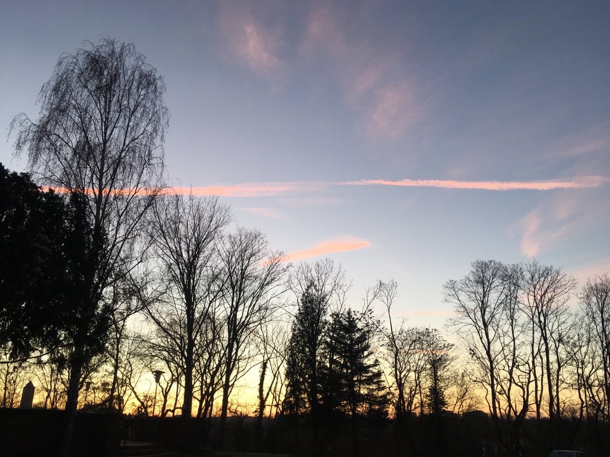Riesen_klein's tweet photo. Guten Morgen vom #Berg, allen einen guten Tagesbeginn. #Bäume #Licht #Farben #Rosa #Burg #Turm #BurgGiebichenstein #Halle #HoherWeg4 #Bildungshaus #Riesenklein https://t.co/W7lu12o9dX