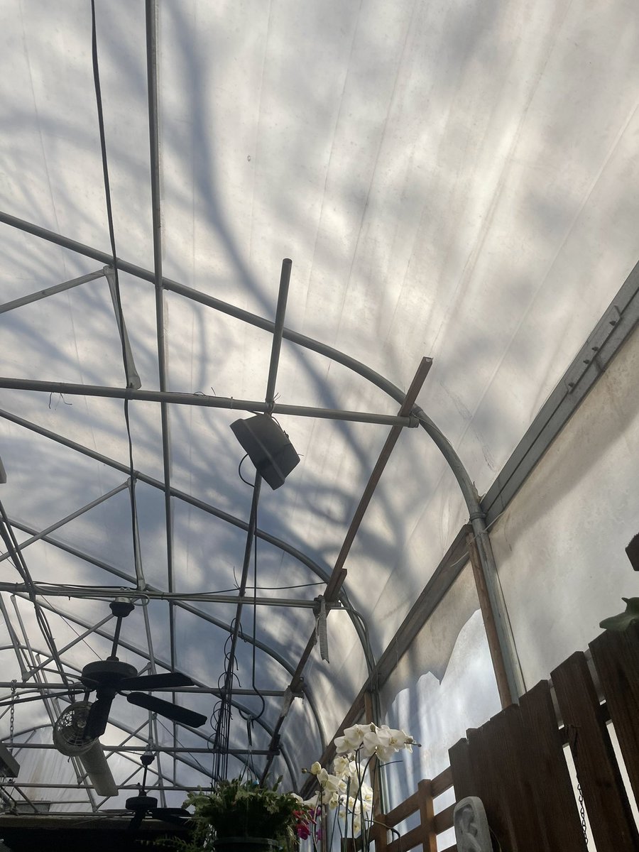 trying to look up more