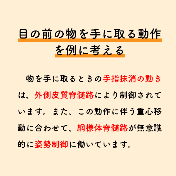 riha_note's tweet photo. 全ての動作に繋がる超基本的な内容です💡

普段は意識しませんが、人間はこれらの神経の働きにより動作を遂行しています。
中枢疾患の患者さんを担当する際は、基本に立ち返り症状を精査しましょう。 https://t.co/kFDGzsTzM1