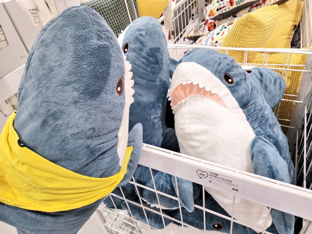 Ikeaのサメ用アカ ワタザメ Ikeasame Twitter