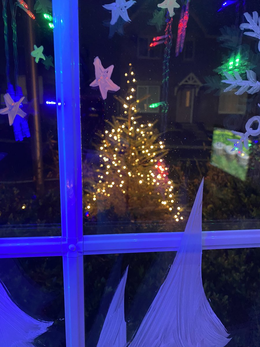 Christmas has landed at my place! #Christmas2021 #christmaswindows #tree #christmastree #christmasiscoming