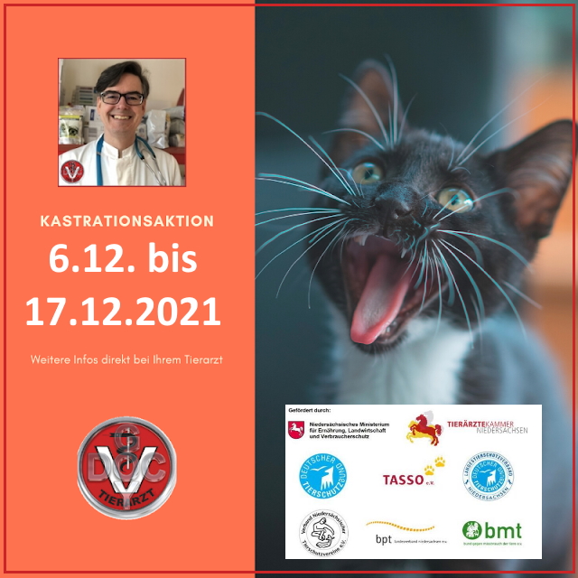 VetGoy's tweet photo. RT @docgoy: Überraschende Mitteilung vom Land #Niedersachsen: Die Katzen #Kastrationsaktion findet auch 2021 statt: https://t.co/SeQqgiP2an 🐈 https://t.co/UF92DgMIvs