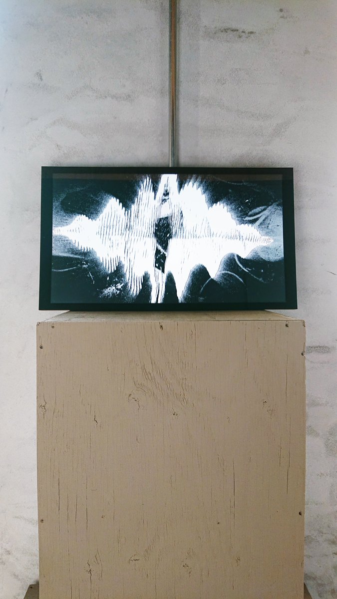 jikandesign's tweet photo. 12/4(土)まで
大阪京町堀・JIKAN<space>で開催中の
映像展示「E.O.(Expanded Optics)」では
FRAMEDも使用しております。
https://t.co/ugXN2xoSMq

#framed #EO #Expandedoptics #jikandesign #jikanspace #digitalart #visualart #abstract https://t.co/ukGU75wDXm