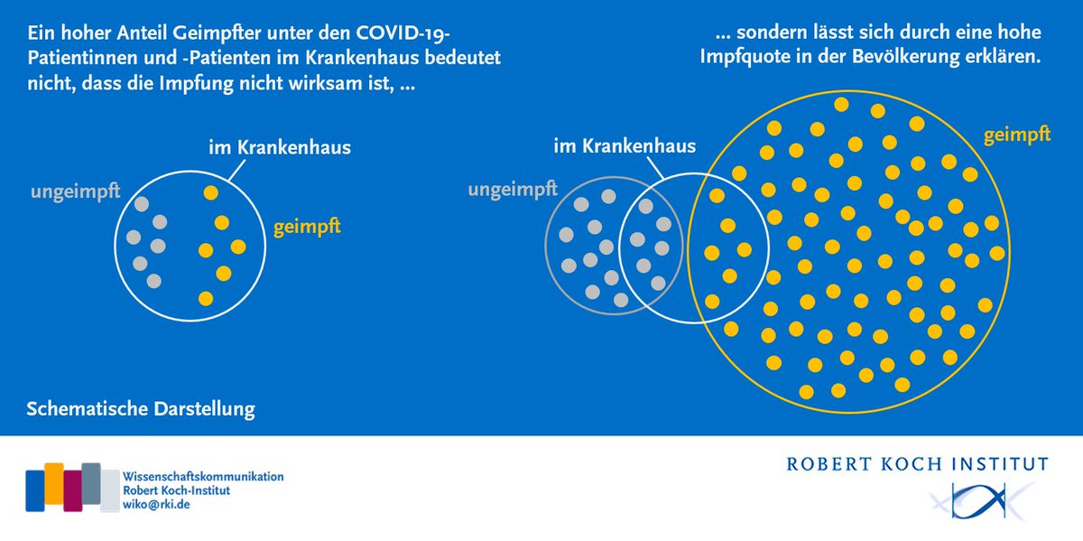 RKI_fuer_Euch's tweet photo. 2/ Je höher die #Impfquote, desto weniger Menschen müssen insgesamt wegen #COVID19 ins Krankenhaus. Allerdings ist der RELATIVE Anteil vollständig Geimpfter an COVID19-Patientinnen und -Patiententen dann hoch, weil die geimpfte Menschengruppe groß ist.

Vereinfacht dargestellt 👇 https://t.co/dvcoyuR47n