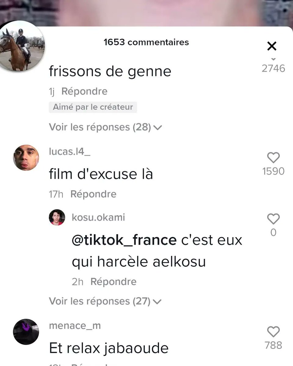 aelkosu's tweet photo. @tiktok_France c'est normal ? On me ban parce que j'ai insulté une personne qui ma dit d'aller me suicider et ça ça passe? Rendez moi mon compte de aelkosu j'ai pas a trinquer pour eux  #TikTok #tiktokfr #harcelement https://t.co/jU8pZbJ3bz