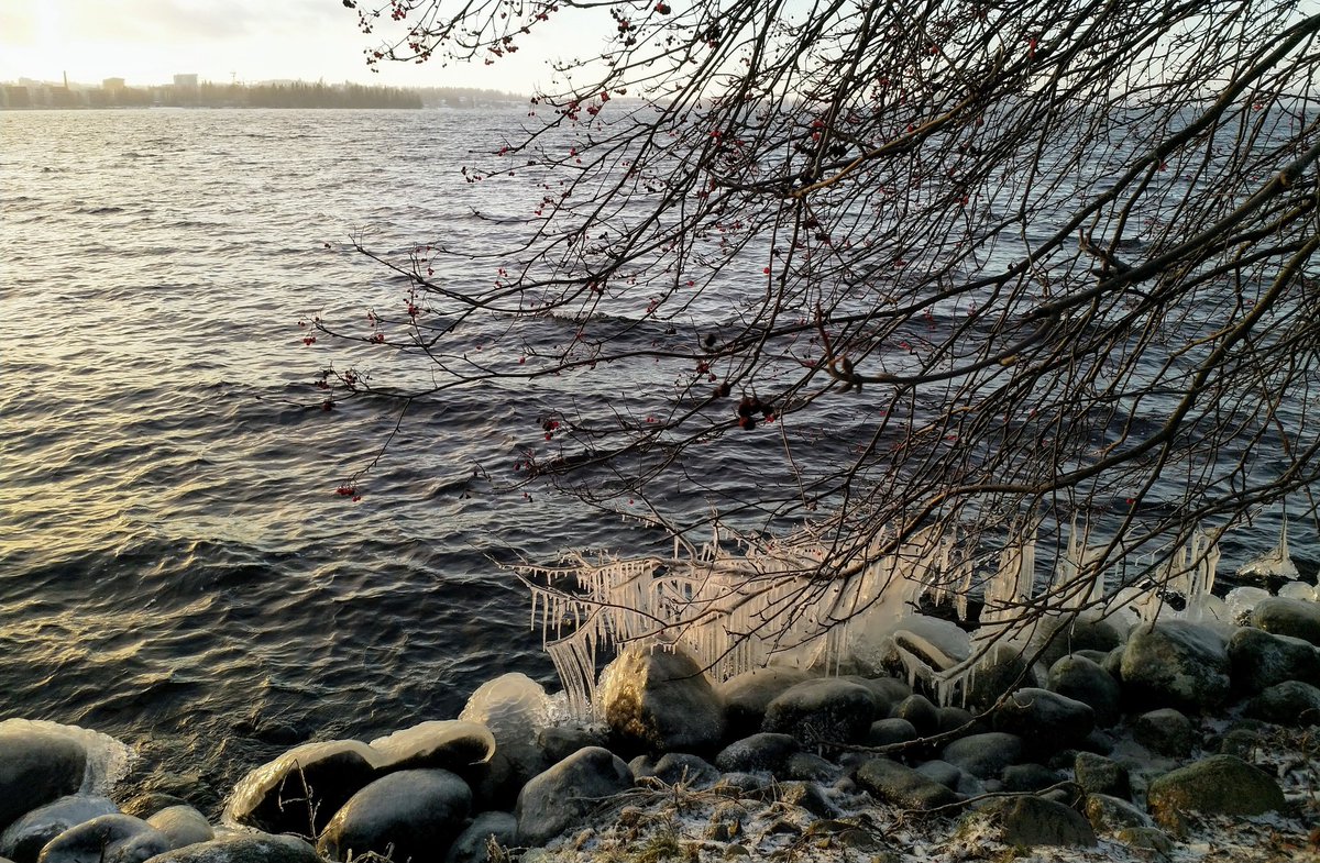 Talven taidenäyttely joulukuisessa Pyhäjärvessä: kilisevät  jääpuikot! #jää #ice #lake #järvenelämää #December2021 #Tampere