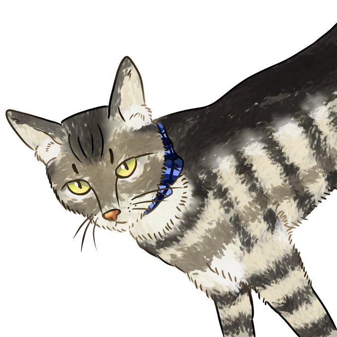 キジトラかわいいのtwitterイラスト検索結果