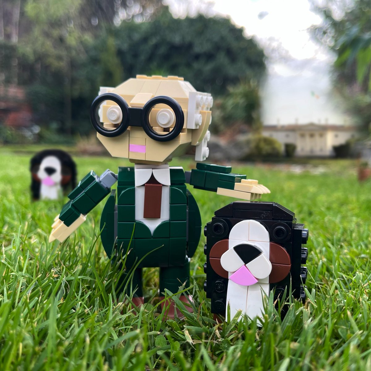 dublinbricks's tweet image. Brickel D Higgins, @PresidentIRL 💚