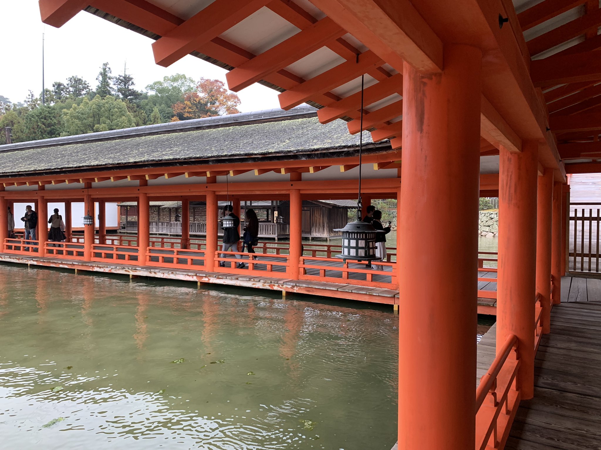 寺 神在祭の出雲大社に厳島神社とパワースポット行きまくってるのになんか沈んだ感じ なんも考えんと飛行機使った旅行がしたい T Co 6hnrli0u4s Twitter