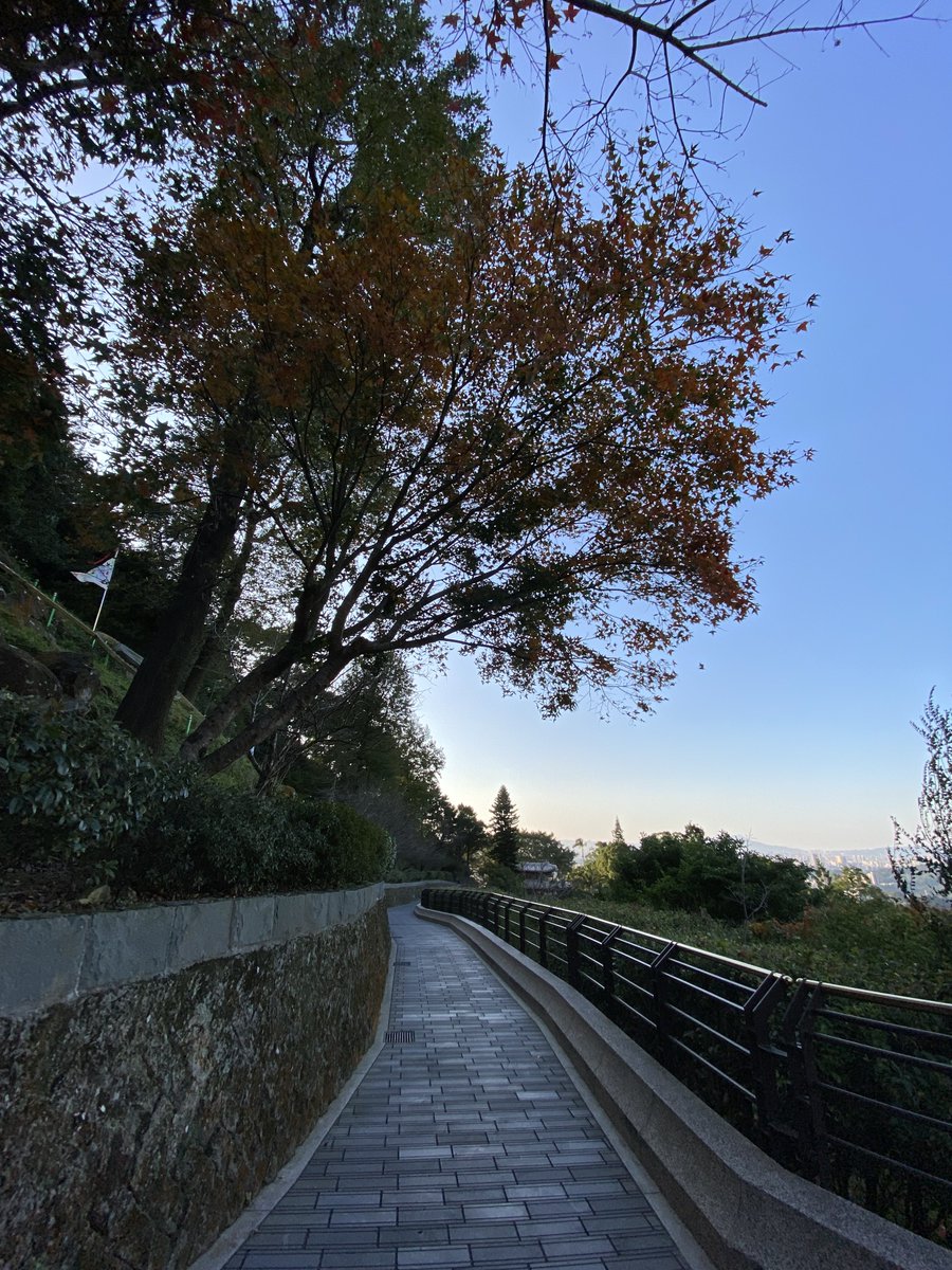 指南宮 人生指南🙏
#指南宮 #風景 #仙公廟 #夕陽 #ZhinanTemple