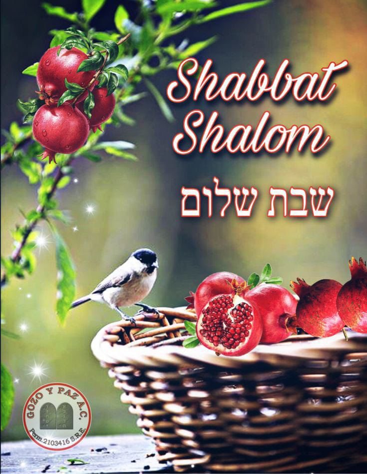 csilvi72's tweet photo. May your holiday be blessed and joyful.
#shabbatshalom Umeborach #Chanukah Sameach &amp; happy #weekend https://t.co/2hZYm3SIs3