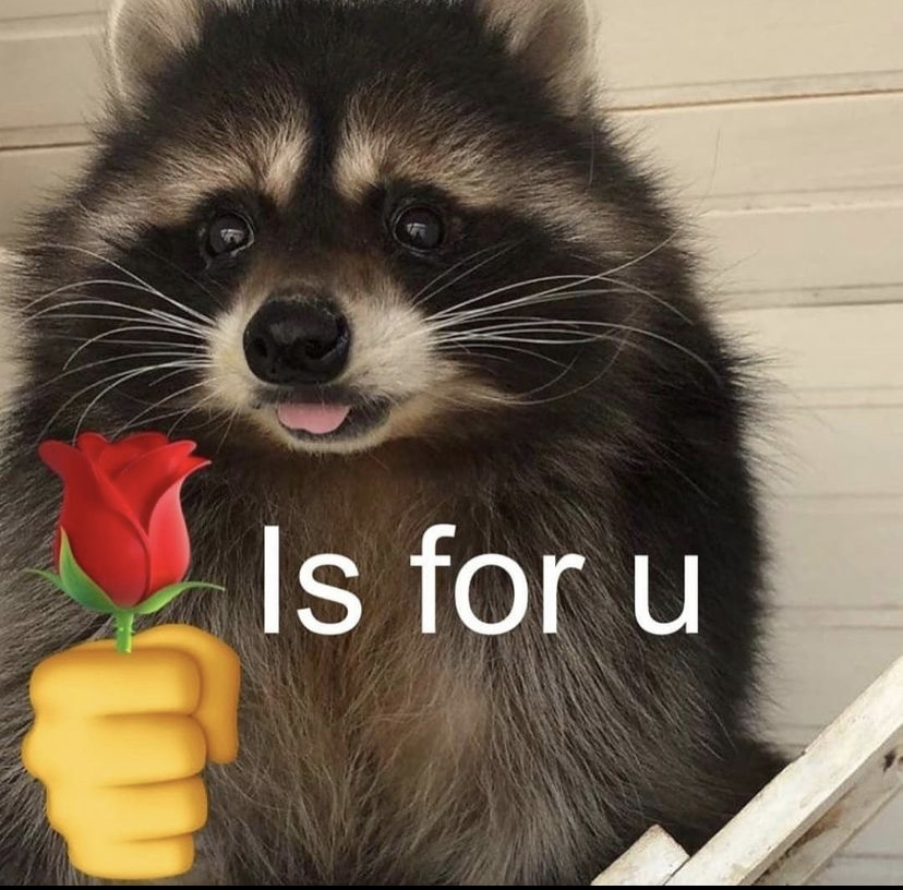WholesomeMeme's tweet photo. https://t.co/pTjS6dV87M