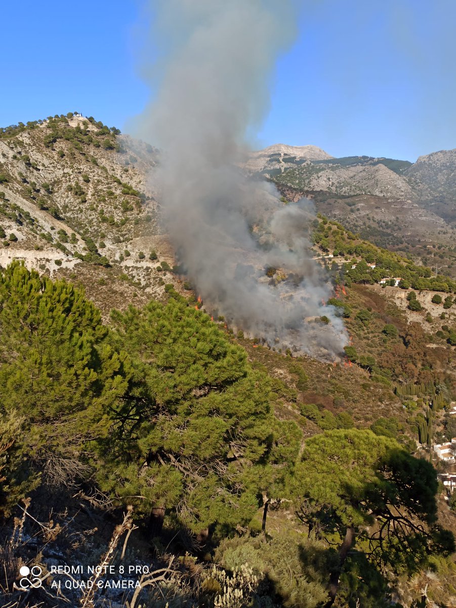 🔴 DECLARADO #IFCómpeta (#Málaga), paraje Pico Cisne.
Medios: 1 helicóptero pesado y 1 ligero. 1 #Brica, 1 autobomba, 1 agente de medio ambiente, 2 técnicos de operaciones y 5 grupos de #BomberosForestales .