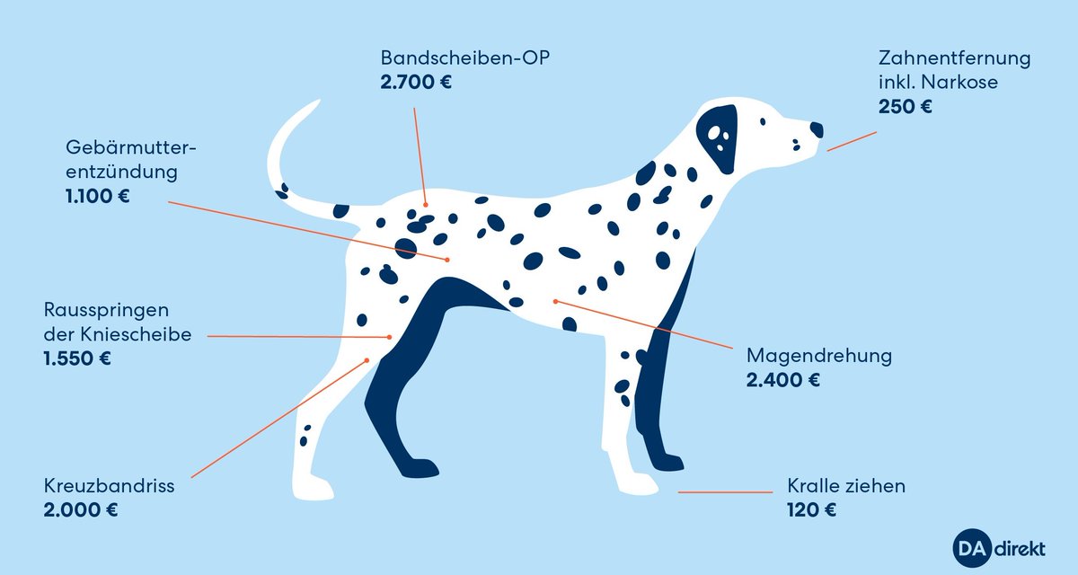 🐶 Hunde gehören zu den beliebtesten Haustieren in Deutschland. Für die Besitzer kann es sehr teuer werden, wenn bei den Vierbeinern Krankheiten auftreten oder eine OP ansteht. Dafür bieten wir die #Hundekrankenversicherung für alle Felle an 👉 https://t.co/C1dqTWEZN8 https://t.co/LqZkRTOy2n