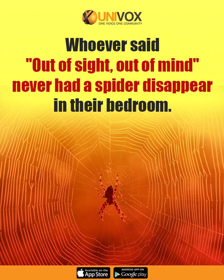 UnivoxCommunity's tweet photo. #Whoever said "Out of sight, out of mind" never had a spider disappear in their bedroom.
#UnivoxCommunity #funfriday https://t.co/rRSNfv9LLi