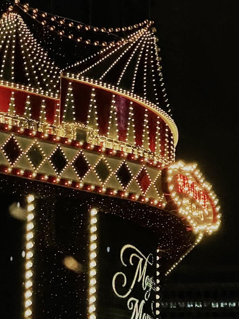 신호 대기 중에 재빨리 찰칵… 🥲🎄