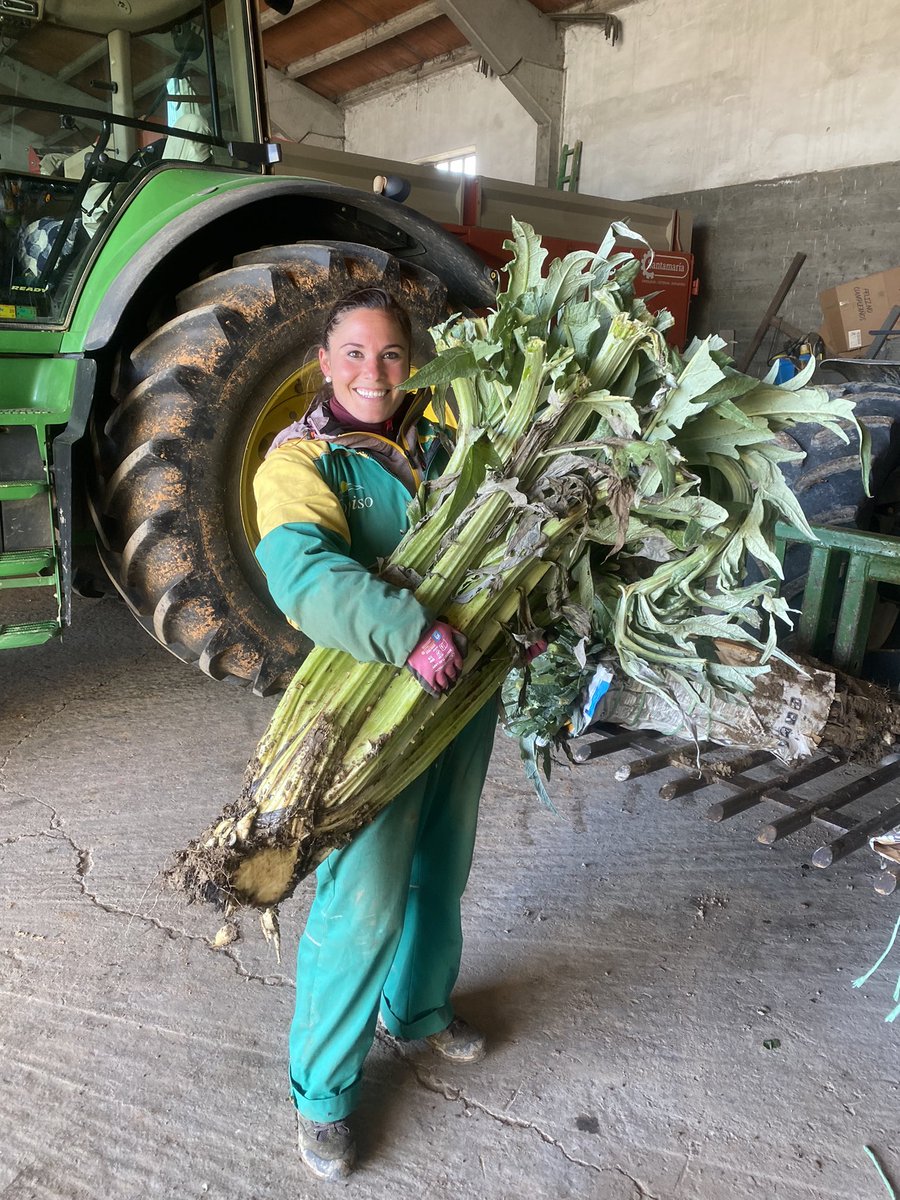 Tras pelearme un rato con el…. Puedo decir que he ganado el partido. Cristina 1 - Cardo 0. 😝
#EsteCardoEsMasGrandeQueYo