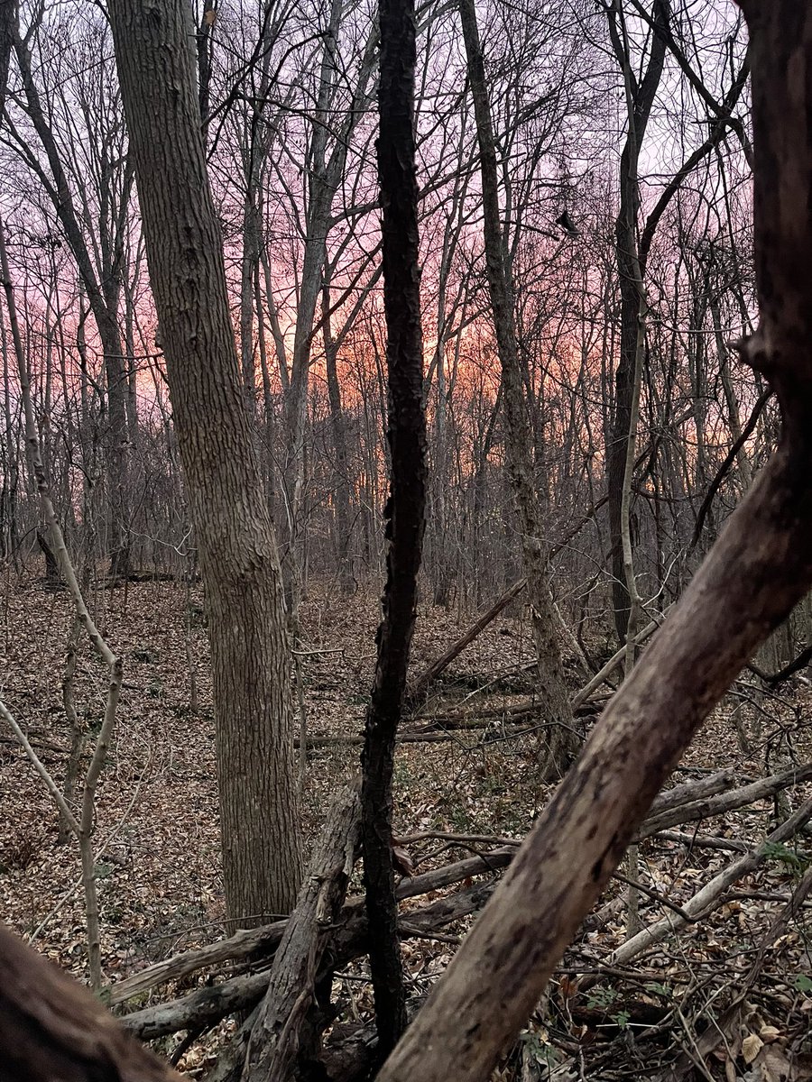 OhioHunt's tweet photo. 🦌 let’s go! https://t.co/xdhaSy2JU0