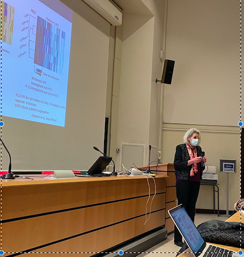 FNiedergang's tweet photo. And we were lucky to have Sylvie van der Werf describing her major contributions on #influenza and #SARS_CoV_2 #virus during the second symposium of #MicrobUP @Univ_Paris #FaculteSanteUP #FaculteSciencesUP https://t.co/ropFtfONZT