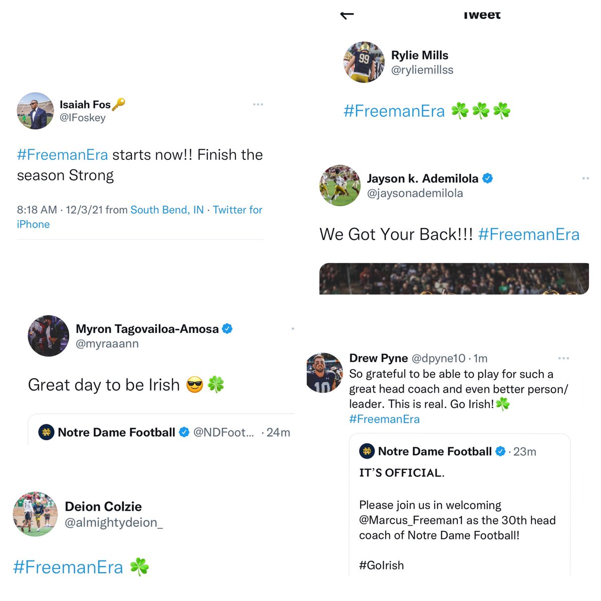 angdicarlo's tweet photo. Notre Dame players seem pleased. 

How about you?

Reacts to the news that Notre Dame has hired Marcus Freeman as it’s head coach.

You know how to do this—in gifs of course. https://t.co/vqygvwwvnO