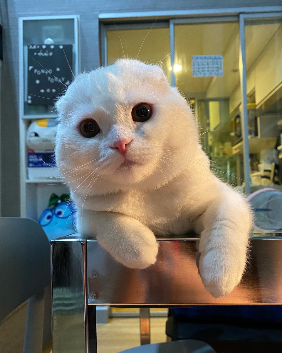 ทรงเหมือนไอติมแดรี่ควีน