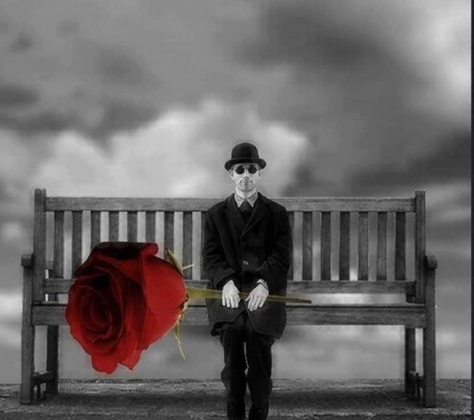literlandweb1's tweet photo. "Aquel que no se atreve a agarrar la espina no debería ansiar la rosa".
 Anne Brontë https://t.co/8Nb38qYUXP