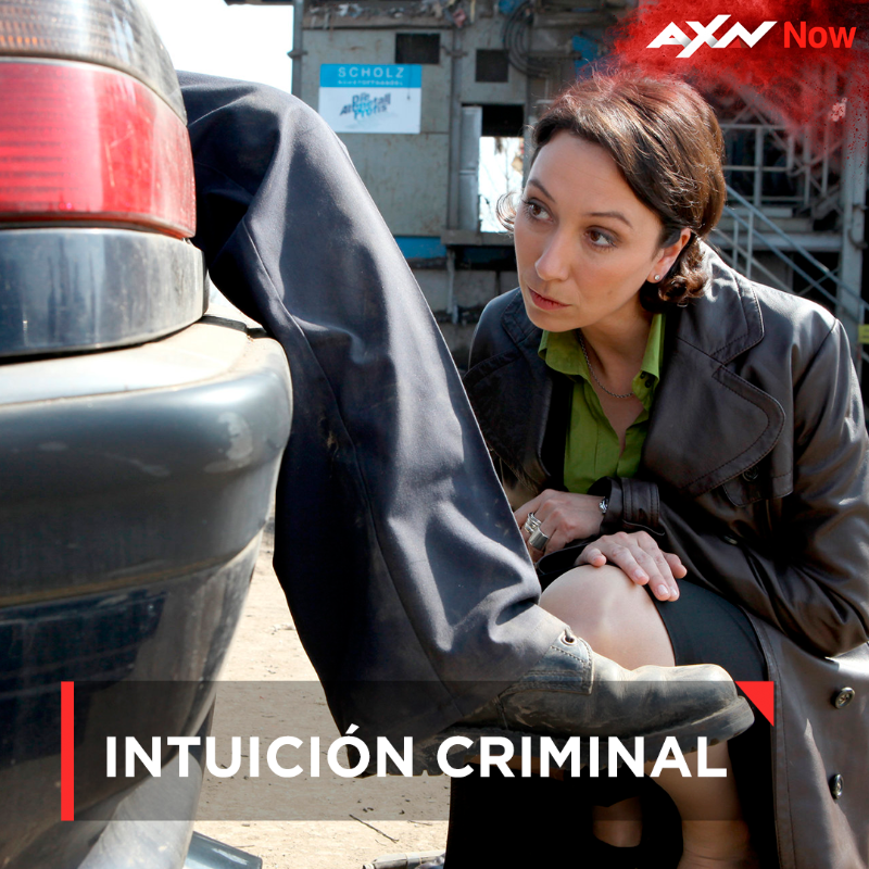 AXN_Espana's tweet photo. Si alguna vez te planteaste estudiar criminología, estas son las series que tienes que ver en #AXNNow
🔎 #MentesAXN
🔎 #HarrowAXN
🔎#IntuiciónCriminalAXN