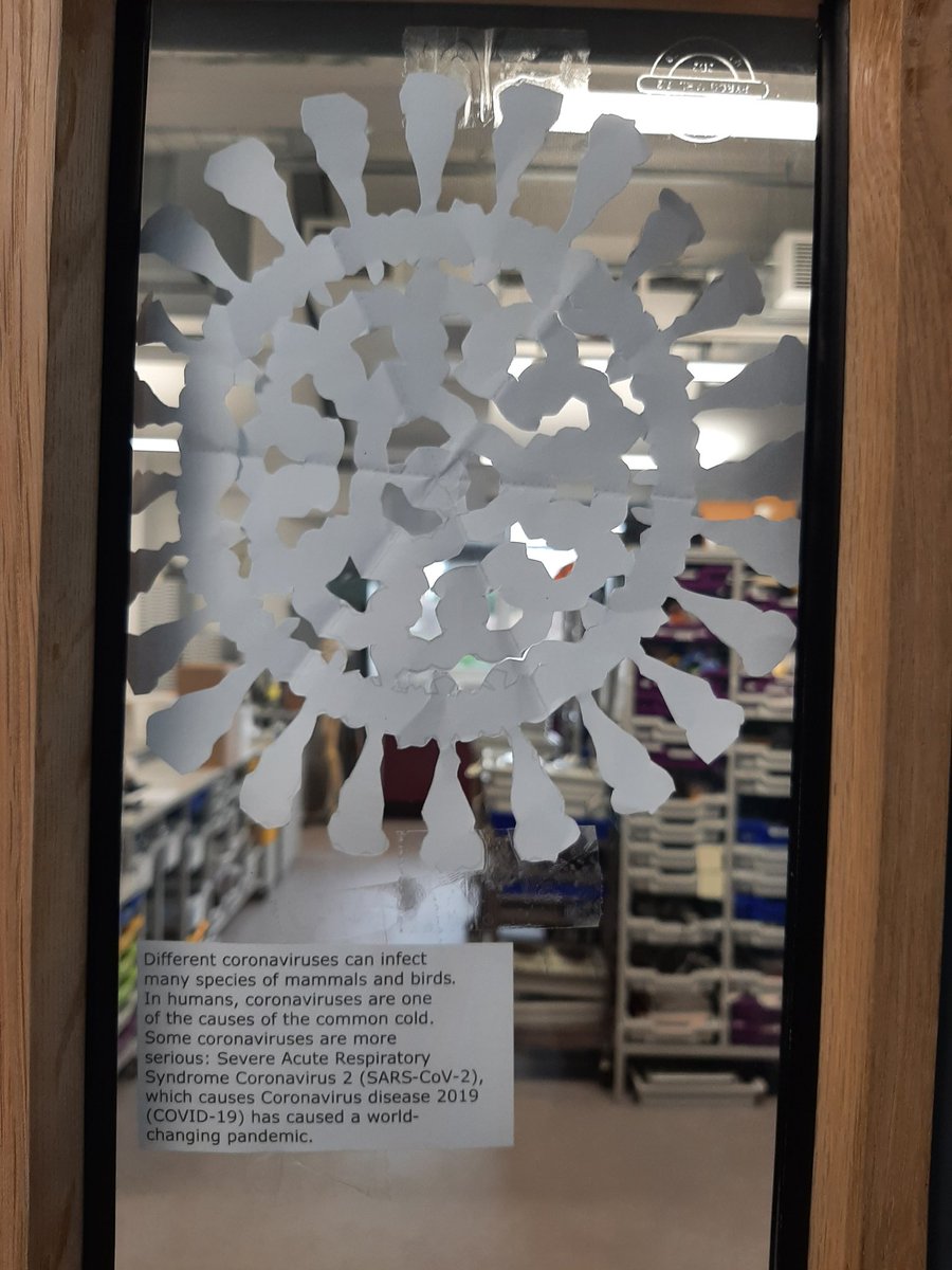 Creating sciency decorations for the  department today.